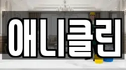 애니클린