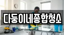 다둥이네종합청소