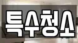특수청소