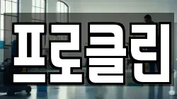 강원특별자치도 춘천시 소양로2가 청소,입주청소,사무실청소,에어컨청소,특수청소,상가청소,거주청소,유품정리