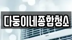 다둥이네종합청소