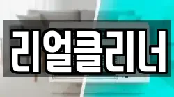 리얼클리너