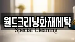 강원특별자치도 춘천시 신동 청소,입주청소,사무실청소,에어컨청소,특수청소,상가청소,거주청소,유품정리