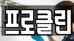 프로클린