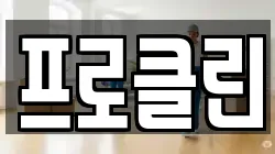 프로클린