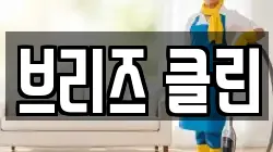 브리즈 클린