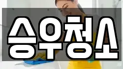 승우청소