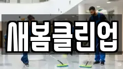 새봄클린업