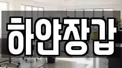 하얀장갑