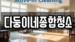 다둥이네종합청소