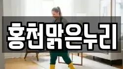 홍천맑은누리