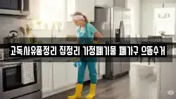 강원 강릉시 강동면 청소,입주청소,사무실청소,에어컨청소,특수청소,상가청소,거주청소,유품정리