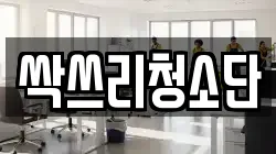 싹쓰리청소단
