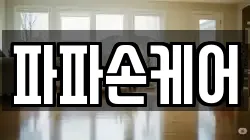 파파손케어