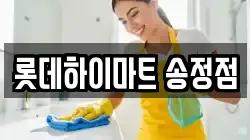 롯데하이마트 송정점