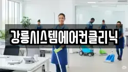 강원 강릉시 교동 청소,입주청소,사무실청소,에어컨청소,특수청소,상가청소,거주청소,유품정리