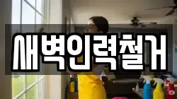 새벽인력철거