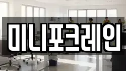 미니포크레인