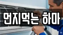 먼지먹는 하마
