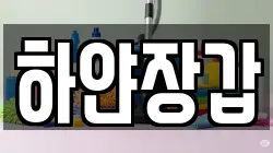 하얀장갑