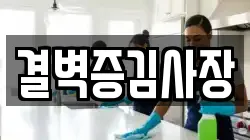 결벽증김사장