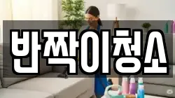 반짝이청소