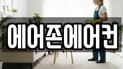 에어존에어컨