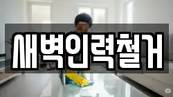 새벽인력철거