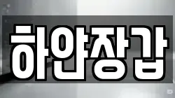 하얀장갑
