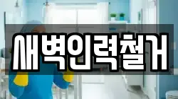 새벽인력철거