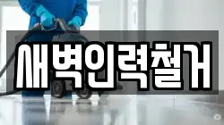 새벽인력철거