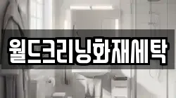 월드크리닝화재세탁