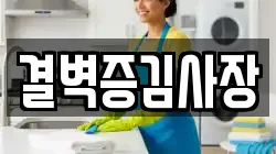 결벽증김사장