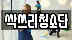 싹쓰리청소단