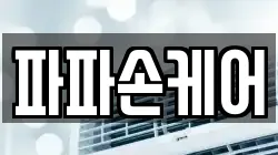 파파손케어