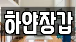 하얀장갑