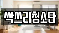 싹쓰리청소단