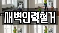 새벽인력철거