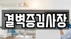 결벽증김사장