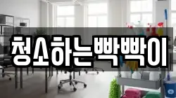 청소하는빡빡이