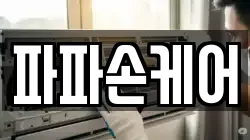 파파손케어