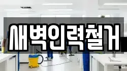 새벽인력철거