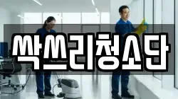 싹쓰리청소단