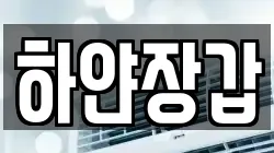 하얀장갑