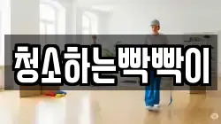 청소하는빡빡이