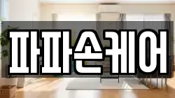 파파손케어