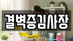 결벽증김사장