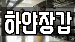 하얀장갑