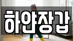 하얀장갑
