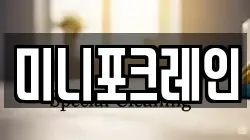 미니포크레인